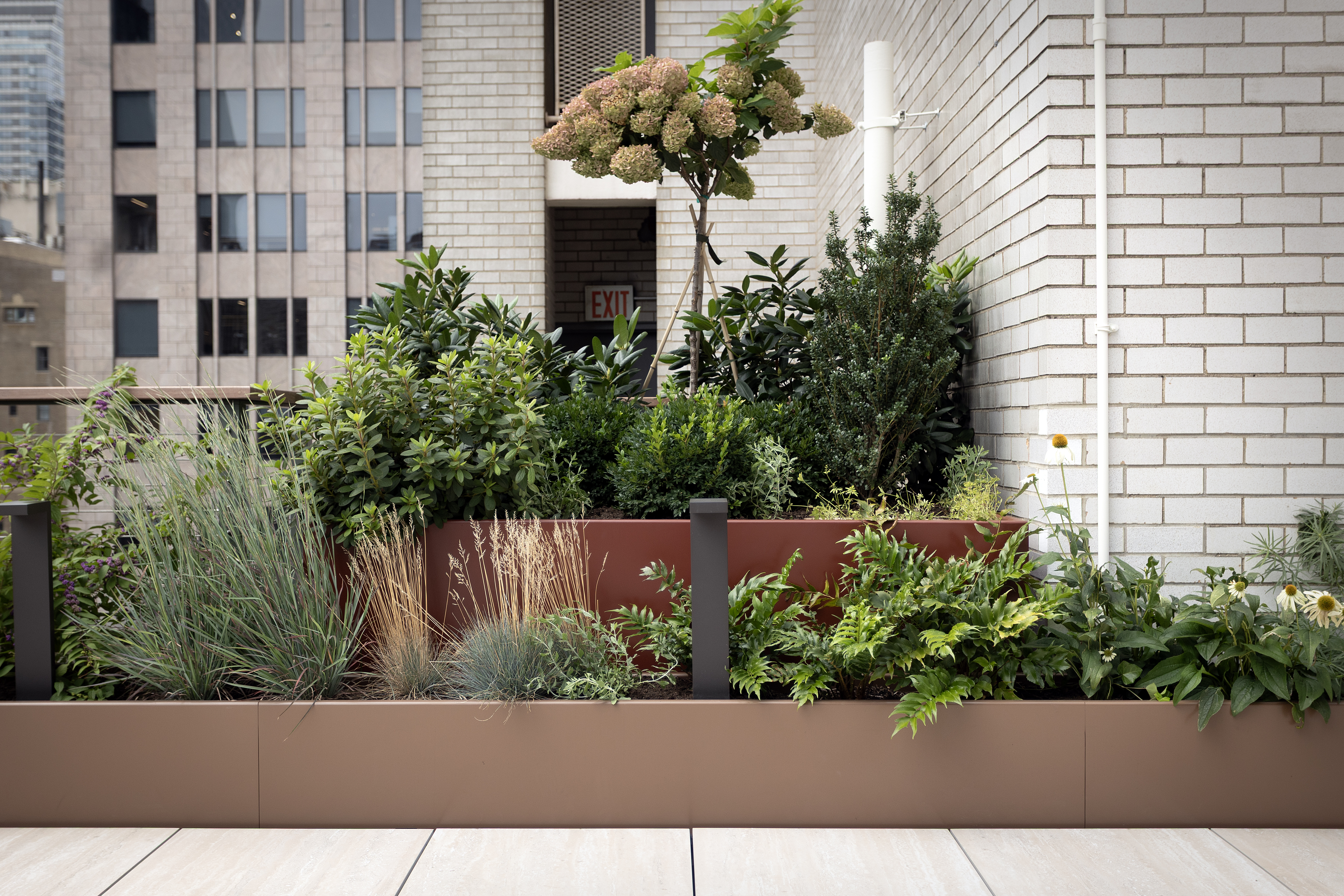 555 Madison Avenue image