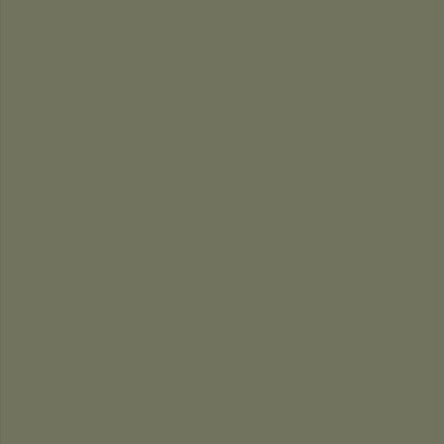 Olive Gray swatch